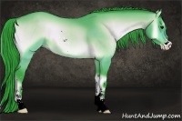Horse Color:Watercolor Bay Onyx Sabino