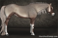 Horse Color:Silver Blue Onyx Sabino 