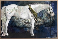 Horse Color:Nacre Plaid  White Spotted Silver Black Tobiano Varnish  and Nacre Plaid  White Spotted Silver Black Tobiano Varnish 