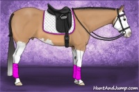 Horse Color:Buckskin Roan Splash 