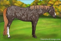 Horse Color:Liver Chestnut Ice 
