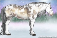 Horse Color:Brown Ice Onyx Sabino 