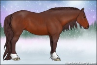 Horse Color:Chocolate Bay 