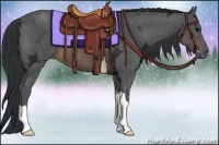 Horse Color:Brown Ice 