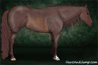 Horse Color:Chocolate Buckskin Roan 