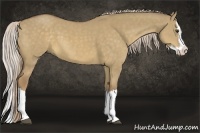 Horse Color:Chocolate Palomino Dun Sabino Splash 