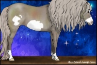 Horse Color:Silver Grullo Frame 