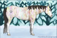 Horse Color:Buckskin Ice Splash 