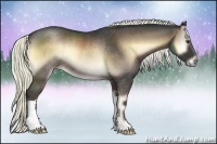 Horse Color:Liver Red Onyx Rabicano 