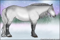 Horse Color:Silver Bay Chinchilla Sabino Rabicano 