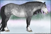 Horse Color:Brown Chinchilla Sabino Rabicano