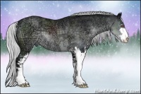 Horse Color:Silver Black Chinchilla Ice Sabino