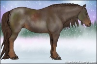 Horse Color:Liver Chestnut Rabicano 