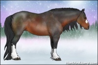 Horse Color:Brown 
