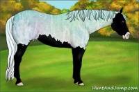 Horse Color:Watercolor Silver Brown Chinchilla Ice Roan Splash 