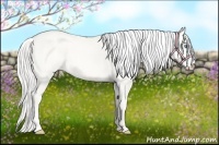 Horse Color:Silver Perlino Dun 