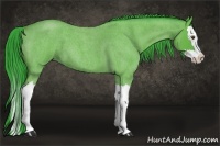Horse Color:Watercolor Buckskin Roan Splash 