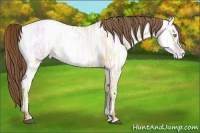 Horse Color:Bay Ice Pearl Dun