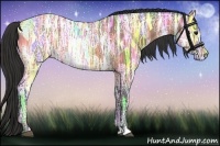 Horse Color:Buckskin Ice 