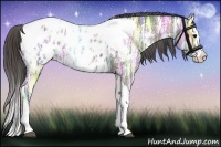 Horse Color:Grullo Ice Splash Tobiano Appaloosa 