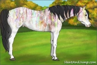 Horse Color:White Spotted Bay Ice