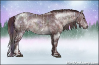 Horse Color:Nacre Bay Ice Sabino Tobiano Frame Rabicano and Chocolate Brown Chinchilla