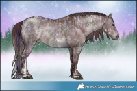 Horse Color:Nacre Bay Ice Sabino Tobiano Frame Rabicano and Chocolate Brown Chinchilla