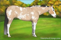 Horse Color:White Spotted Bay Roan Dun Splash