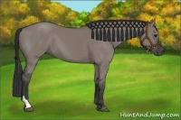 Horse Color:Grullo Tobiano