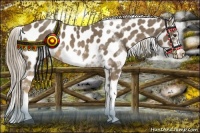 Horse Color:Chocolate Palomino Sabino Frame Near Leopard