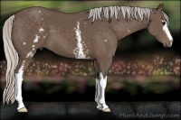 Horse Color:White Spotted Silver Black 