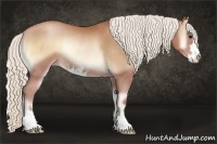 Horse Color:Silver Brown Pearl Onyx Sabino Rabicano