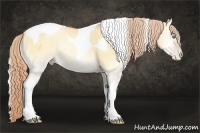 Horse Color:Gold Champagne Pearl Onyx Sabino Tobiano Rabicano
