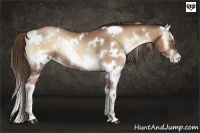 Horse Color:White Spotted Liver Red Onyx Pearl 