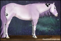Horse Color:Watercolor White Spotted Perlino Onyx
