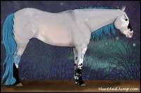 Horse Color:Watercolor Bay Dun Sabino 