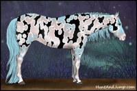 Horse Color:Watercolor Liver Red Onyx Sabino Appaloosa 