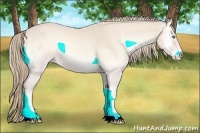 Horse Color:Perlino Onyx 