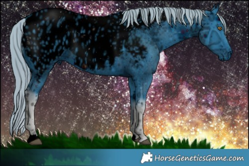 Horse Color:ERROR: UNKNOWN ANOMALY