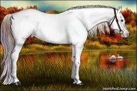 Horse Color:Nacre Liver Red Dun Roan Splash Near Leopard 