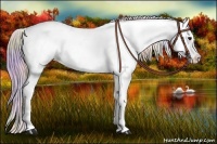 Horse Color:Nacre Silver Black Blanket 