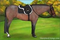 Horse Color:Bay Roan Tobiano Rabicano