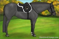 Horse Color:Smoky Blue Roan 