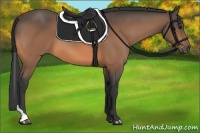 Horse Color:Buckskin Tobiano Rabicano