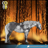 Horse Color:Silver Buckskin Chinchilla Ice