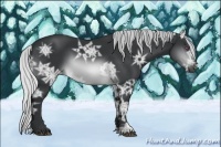 Horse Color:Silver Buckskin Chinchilla Ice