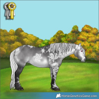 Horse Color:Silver Buckskin Chinchilla Ice 