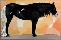 Horse Color:Watercolor Chocolate Palomino Onyx Appaloosa Rabicano