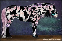 Horse Color:Watercolor Buckskin Onyx Near Leopard