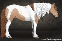 Horse Color:Bay Pearl Tobiano 